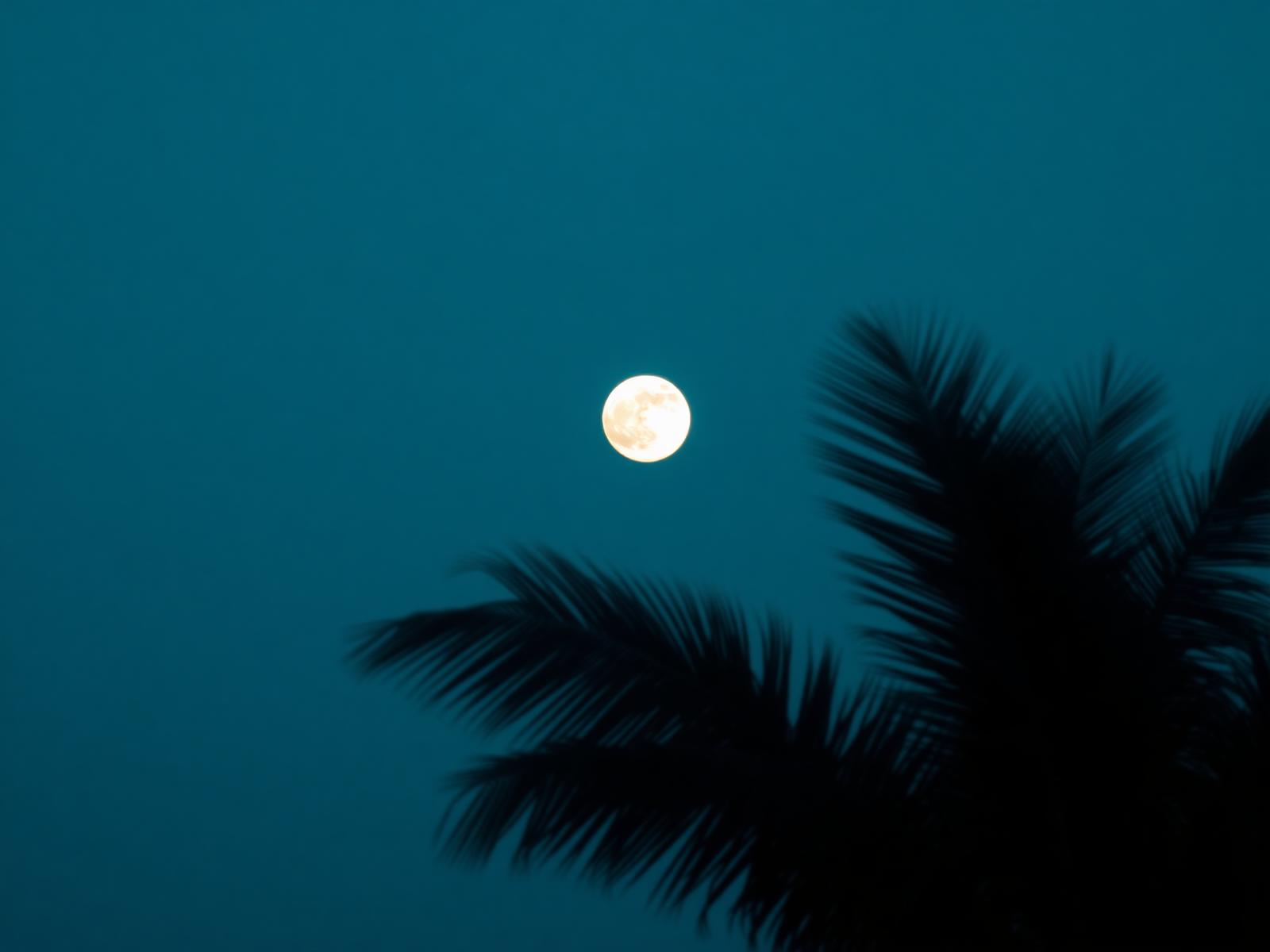 Full moon over the ceremonial land outside Madrid